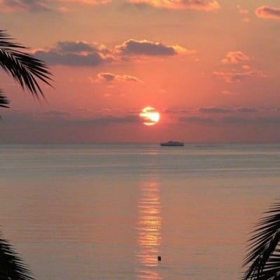 Tito Karnavian avatar
